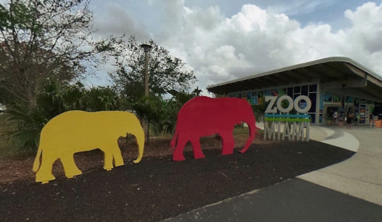 Bomb Threat Prompts Precautionary Evacuation and Temporary Closure of Zoo Miami