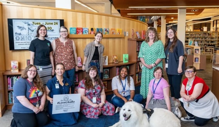 Books and Barks: Grove City Library Hosts "Books with Bo" Therapy Dog Reading Session