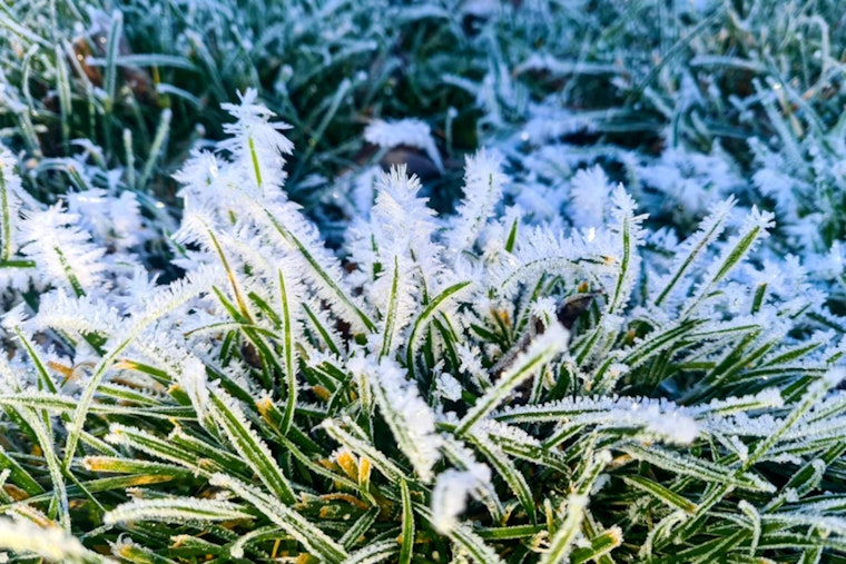 Boston Grapples with Freezing Temperatures as City Faces One of the Coldest Decembers on Record