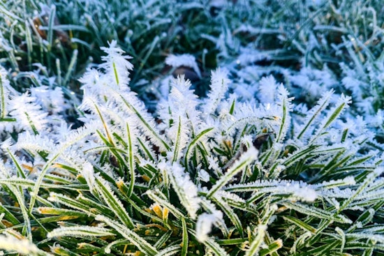 Boston Grapples with Freezing Temperatures as City Faces One of the Coldest Decembers on Record