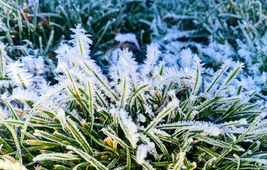 Boston Grapples with Freezing Temperatures as City Faces One of the Coldest Decembers on Record