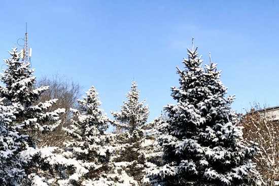 Boston Grips With Sunny but Frigid Conditions as Snow Mix Expected Over Weekend
