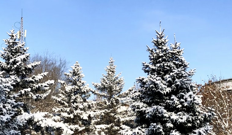 Boston Grips With Sunny but Frigid Conditions as Snow Mix Expected Over Weekend