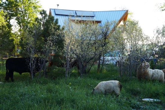 Boulder County Launches Trio of Grant Programs Aimed at Boosting Climate Resilience Through Nature-Based Solutions