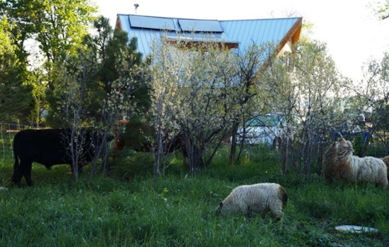 Boulder County Launches Trio of Grant Programs Aimed at Boosting Climate Resilience Through Nature-Based Solutions