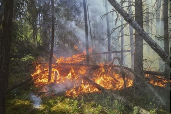 Boulder County on High Alert for Potential Wildfires Amid Forecasted 100 MPH Winds and Red Flag Warning