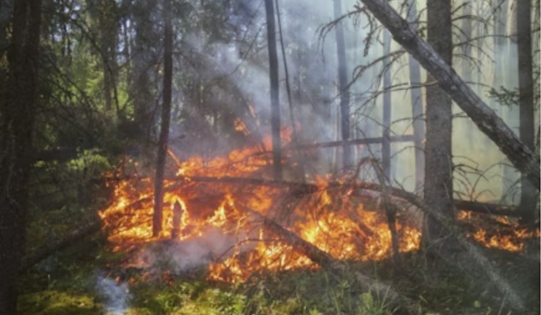 Boulder County on High Alert for Potential Wildfires Amid Forecasted 100 MPH Winds and Red Flag Warning