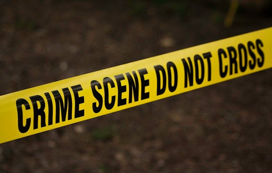 Brentwood Tragedy – Hollywood Mourns as Director Rob Reiner and Wife Found Dead, Son Charged in Fatal Attack
