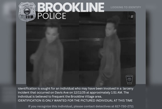 Brookline Police Seek Public's Help to Identify Suspect in Davis Ave Larceny Case