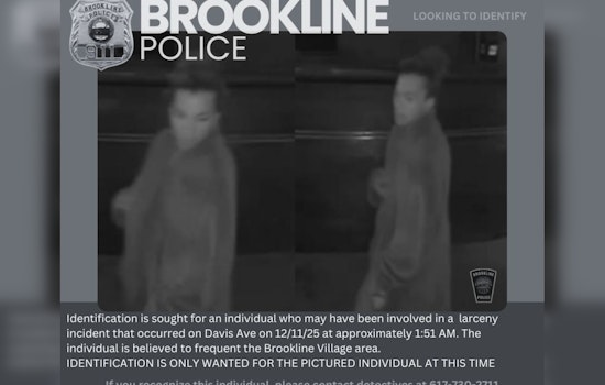 Brookline Police Seek Public's Help to Identify Suspect in Davis Ave Larceny Case