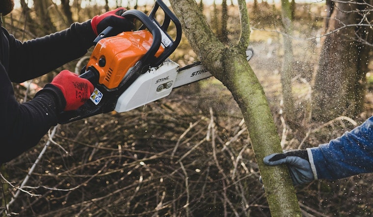 Butte County Fire Safe Council, 8,800 Trees Removed, 22 Homes Cleared