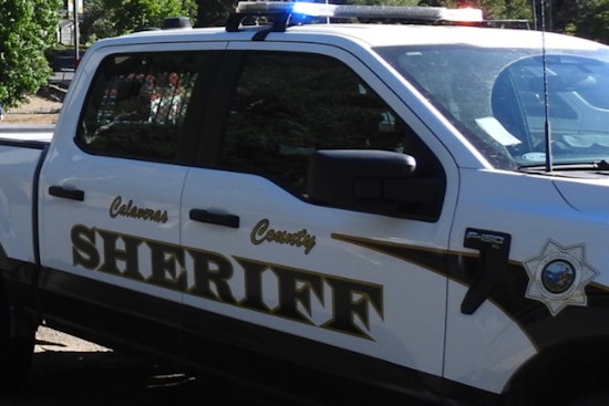 Calaveras County Authorities Arrest Two After Livestock Maulings, Seize Dogs in San Andreas Area