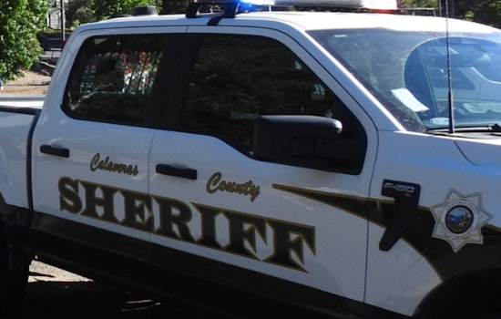 Calaveras County Authorities Arrest Two After Livestock Maulings, Seize Dogs in San Andreas Area