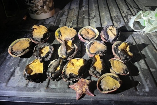 California Wildlife Officers Arrest Suspect for Poaching Abalone at Ocean Cove Amid Conservation Efforts