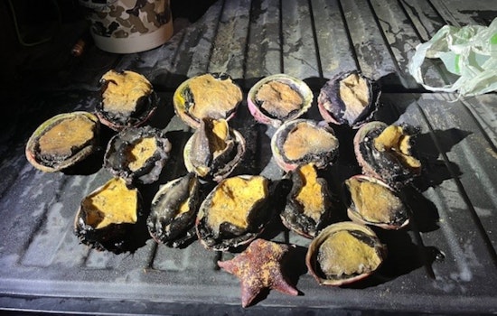 California Wildlife Officers Arrest Suspect for Poaching Abalone at Ocean Cove Amid Conservation Efforts
