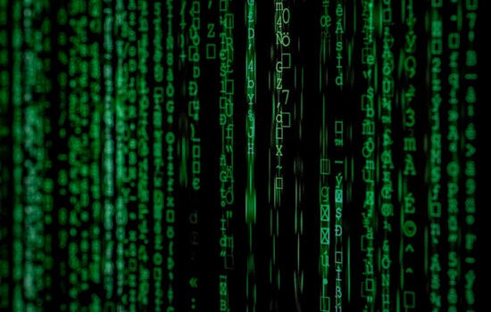 California’s Official Biz Portal Hacked with Lewd Content as State Scrambles to Purge Porn Links