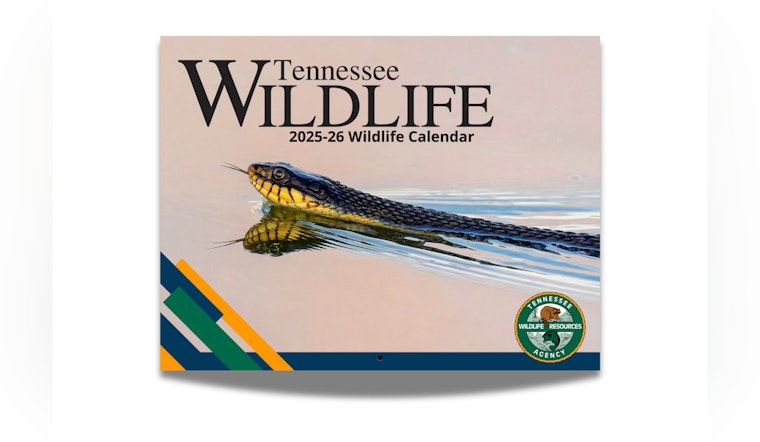 Calling All Shutterbugs TWRA Launches Tennessee Wildlife 2026-27 Photo Contest for Magazine and License Cards