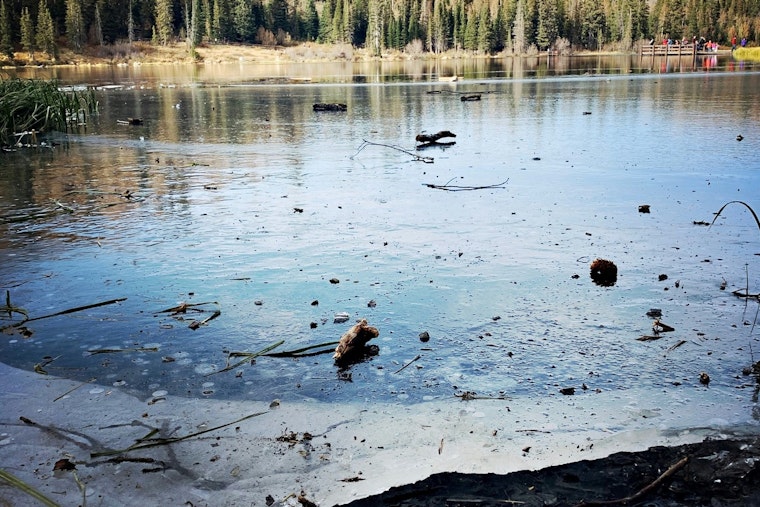 Carmel PD Issues Urgent Ice Safety Alert After Near-Miss Involving Children on Thin Ice
