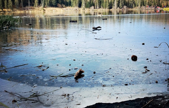 Carmel PD Issues Urgent Ice Safety Alert After Near-Miss Involving Children on Thin Ice
