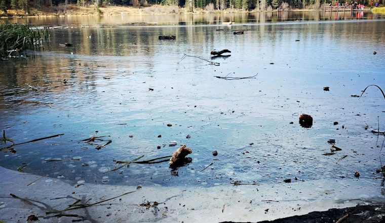 Carmel PD Issues Urgent Ice Safety Alert After Near-Miss Involving Children on Thin Ice