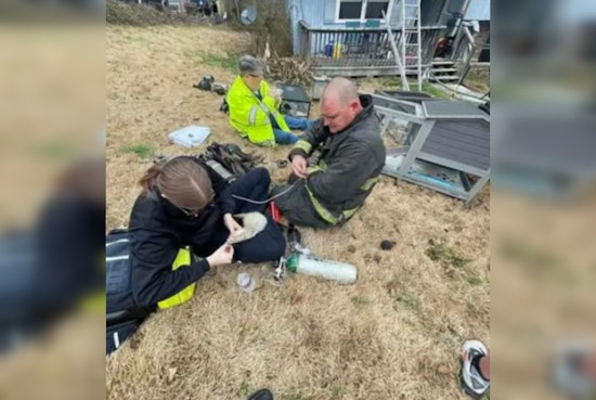Catoosa County Firefighters Extinguish Christmas Day Blaze, Rescue Pets and Reptiles from Pine Circle Home