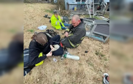 Catoosa County Firefighters Extinguish Christmas Day Blaze, Rescue Pets and Reptiles from Pine Circle Home