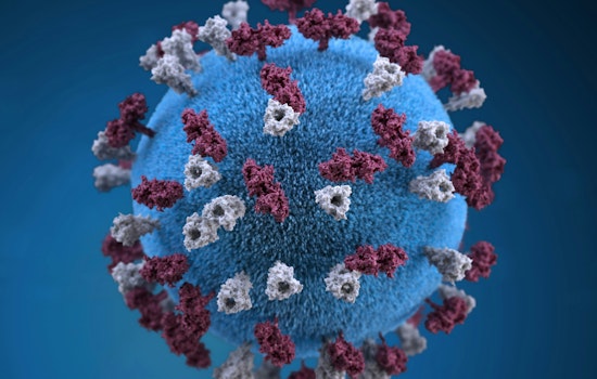 Measles Outbreak Claims Lives in West Texas as Seminole's Mennonite Community Upholds Vaccine Resistance