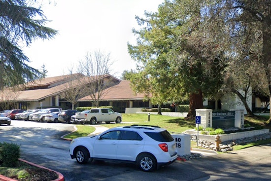 Centuries-Old Tree Toppled by Storm Disrupts Weddings at Sacramento County Clerk's Office