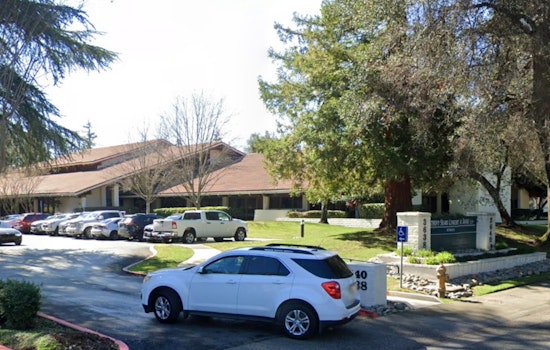 Centuries-Old Tree Toppled by Storm Disrupts Weddings at Sacramento County Clerk's Office