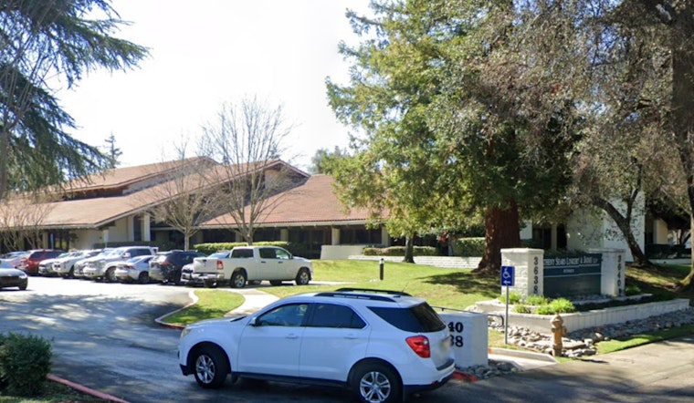 Centuries-Old Tree Toppled by Storm Disrupts Weddings at Sacramento County Clerk's Office