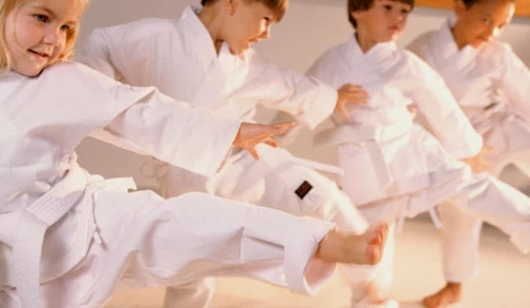 Champlin's Winter Taekwondo Program for Kids Returns with Fun and Discipline