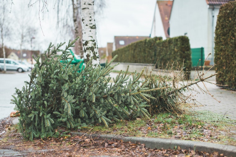 Charlotte Announces Adjusted Holiday Waste Collection Schedule and Guidelines