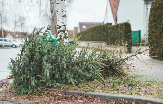 Charlotte Announces Adjusted Holiday Waste Collection Schedule and Guidelines