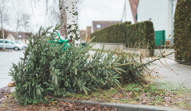 Charlotte Announces Adjusted Holiday Waste Collection Schedule and Guidelines
