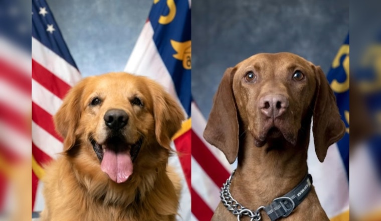 Charlotte-Mecklenburg Police K9s Alvin and Robi Compete for 2025 Officer Good Boi Title
