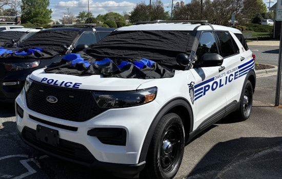 Charlotte Police Investigate Fatal North Tryon Street Hit-and-Run, Ask Public for Assistance