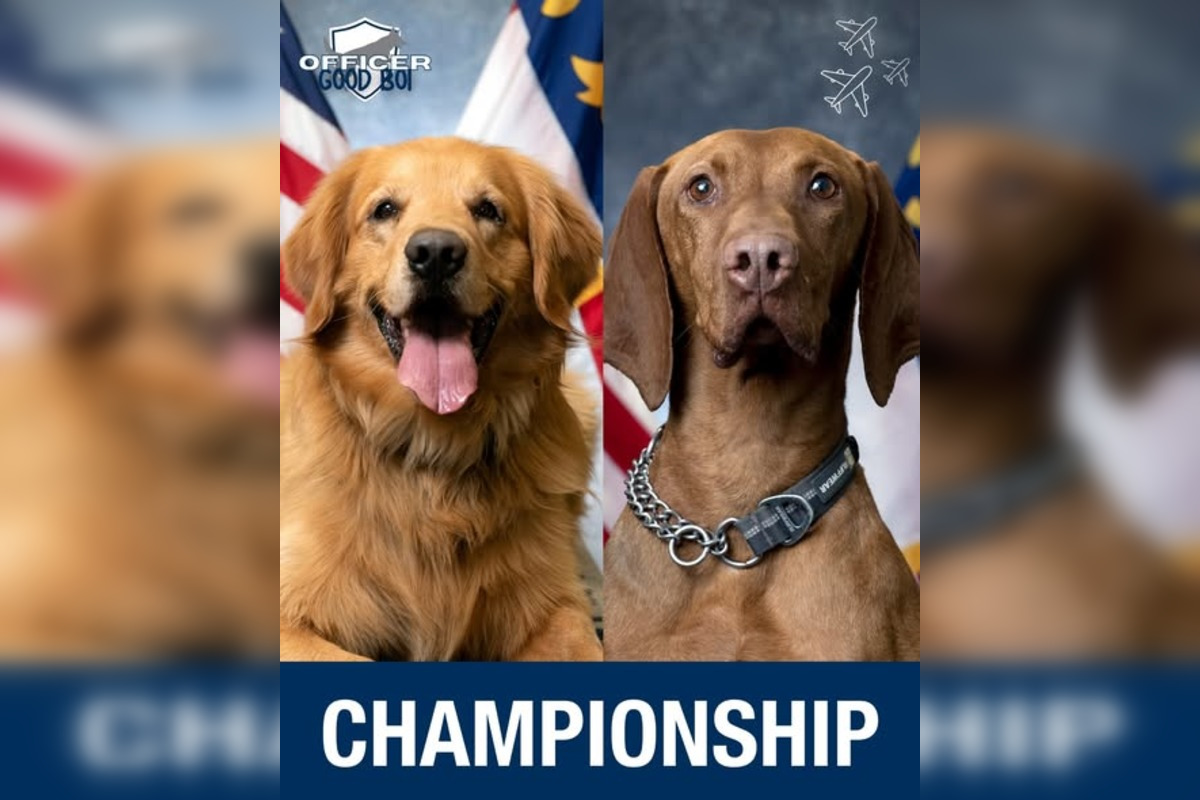 Charlotte Residents Cast Votes for K9 'Officer Good Boi of 2025' Among Cherished Airport Unit Dogs
