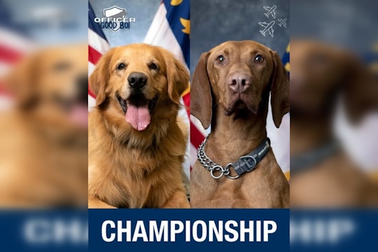 Charlotte Residents Cast Votes for K9 'Officer Good Boi of 2025' Among Cherished Airport Unit Dogs