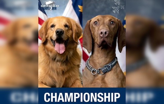 Charlotte Residents Cast Votes for K9 'Officer Good Boi of 2025' Among Cherished Airport Unit Dogs