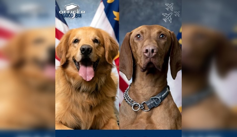 Charlotte Residents Cast Votes for K9 'Officer Good Boi of 2025' Among Cherished Airport Unit Dogs