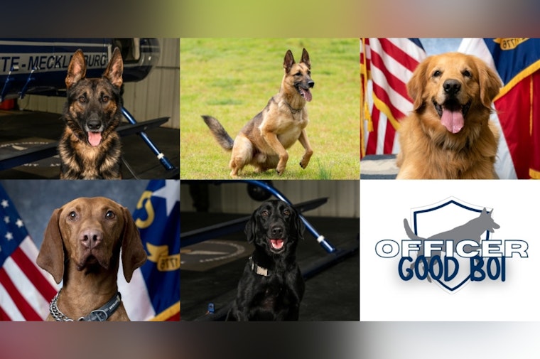 Charlotte's Finest Canines Compete for 'Officer Good Boi' Title at CMPD's K-9 Contest
