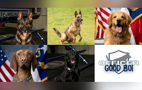Charlotte's Finest Canines Compete for 'Officer Good Boi' Title at CMPD's K-9 Contest