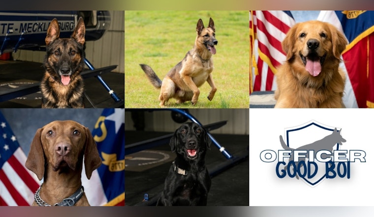 Charlotte's Finest Canines Compete for 'Officer Good Boi' Title at CMPD's K-9 Contest