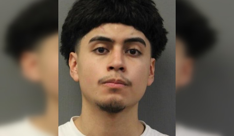 Chicago Man Charged with Armed Robbery of 19-Year-Old Woman in 8th District
