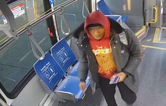 Chicago Police Issue Community Alert After Armed Robbery in South Shore Neighborhood