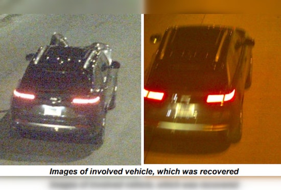 Chicago Police Seek Information on Fatal Hit and Run in Morgan Park; Public's Help Crucial