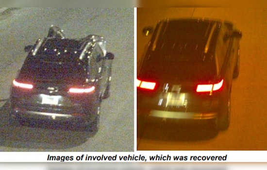 Chicago Police Seek Information on Fatal Hit and Run in Morgan Park; Public's Help Crucial