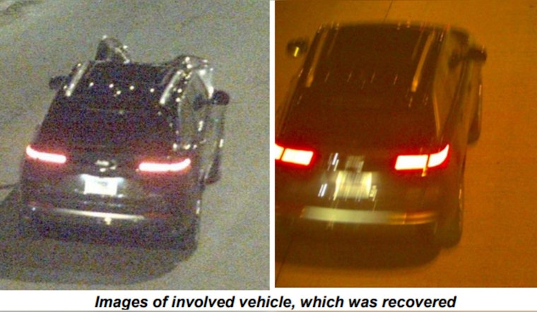 Chicago Police Seek Information on Fatal Hit and Run in Morgan Park; Public's Help Crucial
