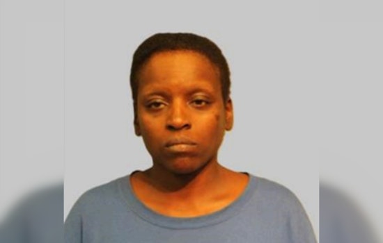 Chicago Police Seek Public's Help in Search for Missing Woman, Tanisha Riley