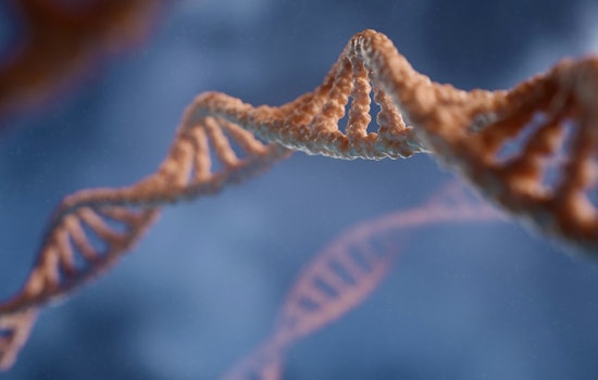 Chicago Researchers Help Chart Wildly Detailed 4D Map of Human DNA